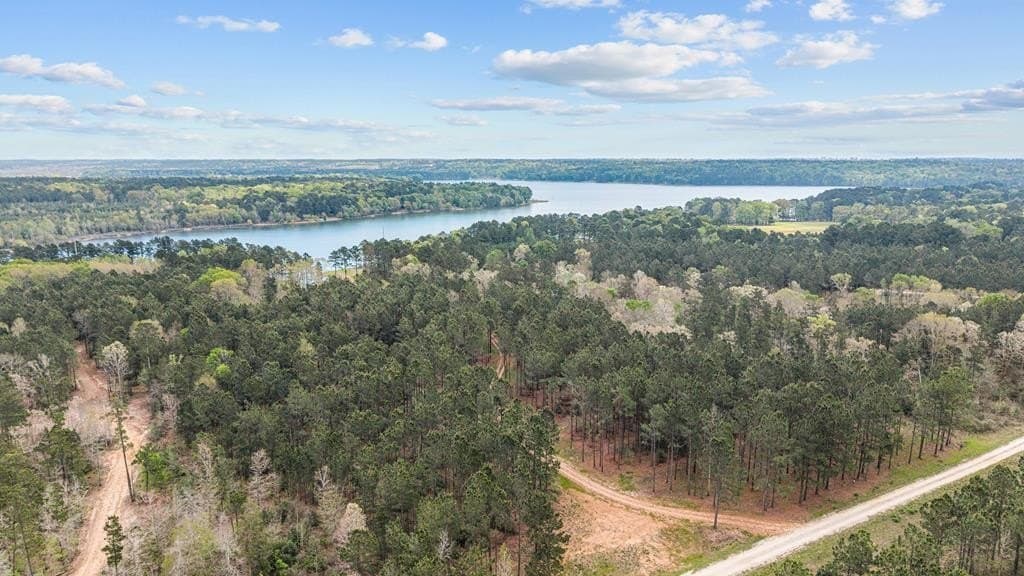 12.66 acres in Texas County gallery image 4