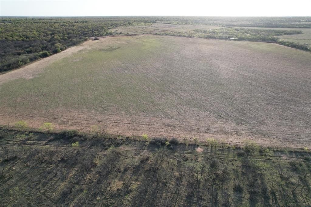 17 acres in Jones County gallery image 4