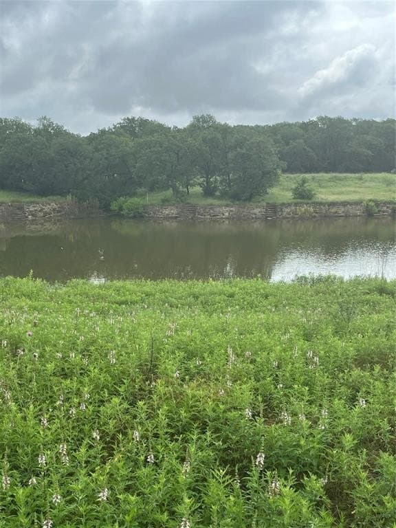 2 acres in Wise County gallery image 2