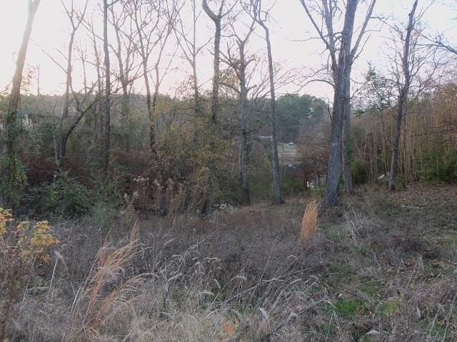 0.86 acres in Rusk County gallery image 2