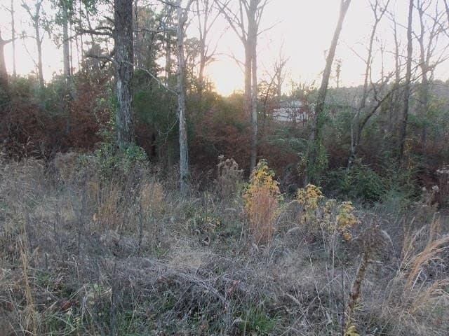 0.86 acres in Rusk County gallery image 3