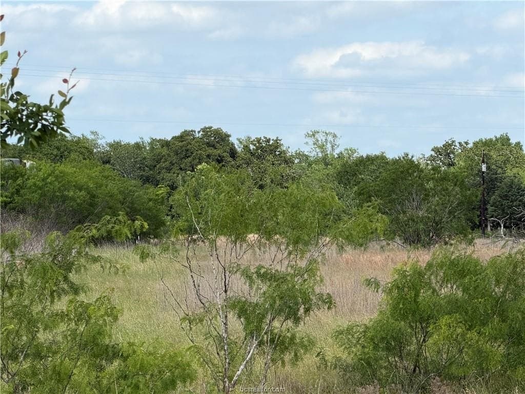 1.71 acres in Brazos County gallery image 2