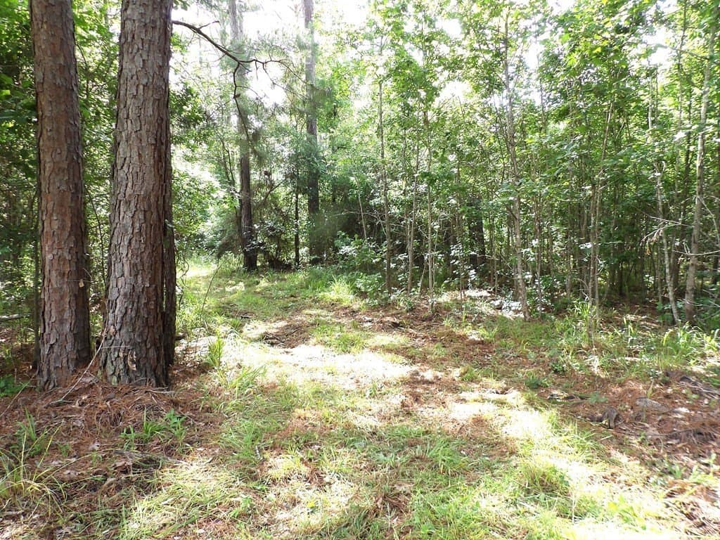 117.6 acres in Texas County - photo 8