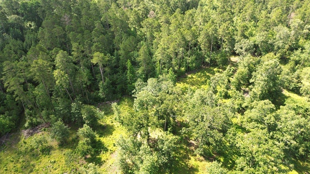 117.6 acres in Texas County - photo 14