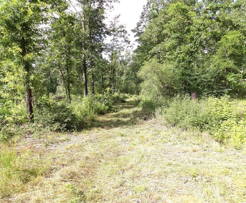 117.6 acres in Texas County featured view