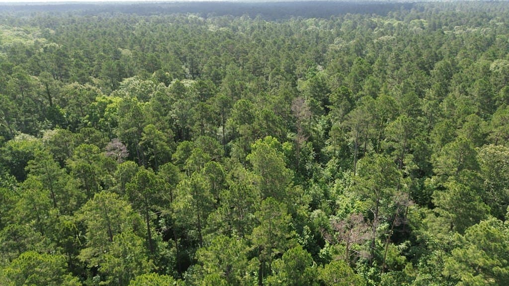 117.6 acres in Texas County - photo 21