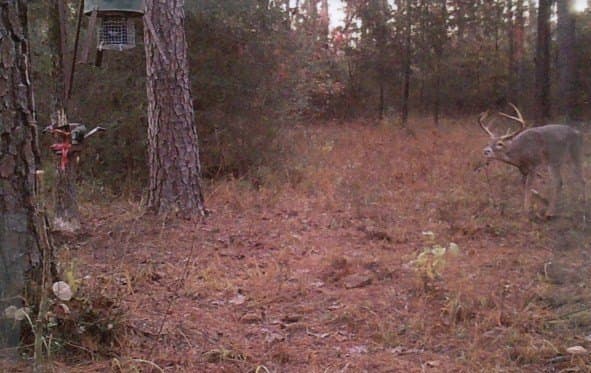 117.6 acres in Texas County - photo 28