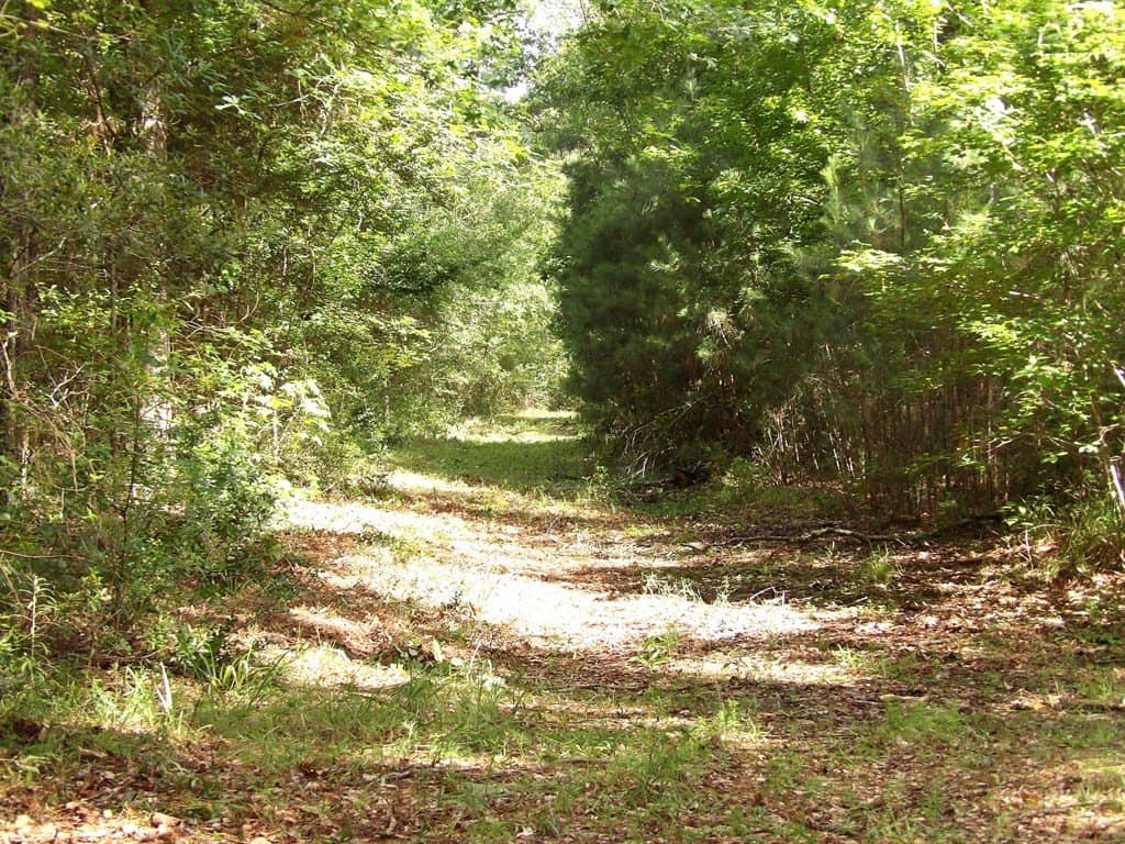 117.6 acres in Texas County - photo 13