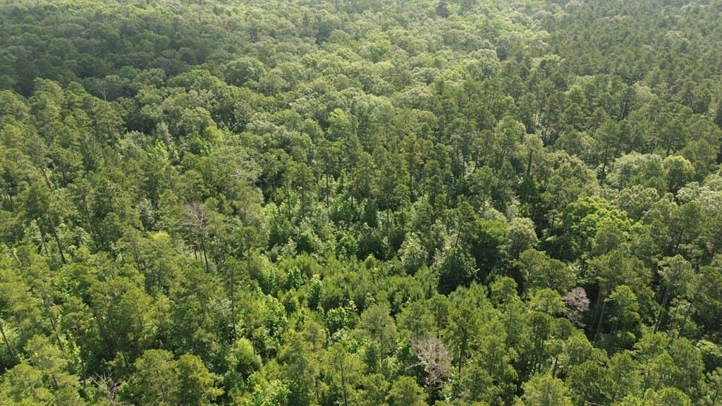 117.6 acres in Texas County - photo 19