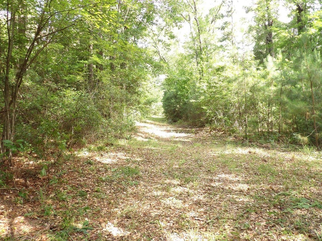 117.6 acres in Texas County - photo 12