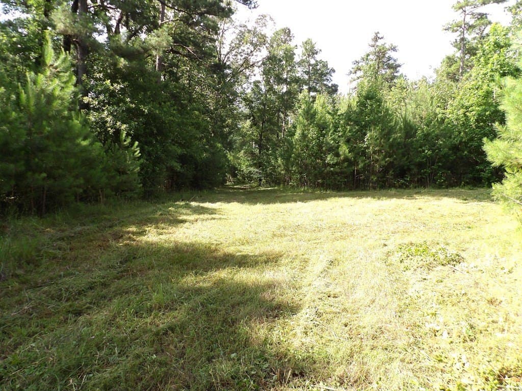 117.6 acres in Texas County - photo 9