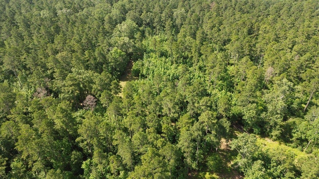 117.6 acres in Texas County - photo 16