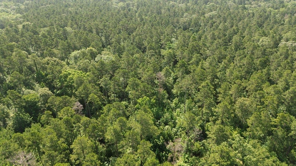 117.6 acres in Texas County - photo 20
