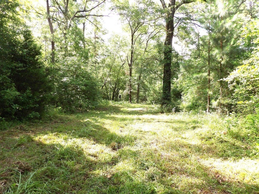 117.6 acres in Texas County - photo 11