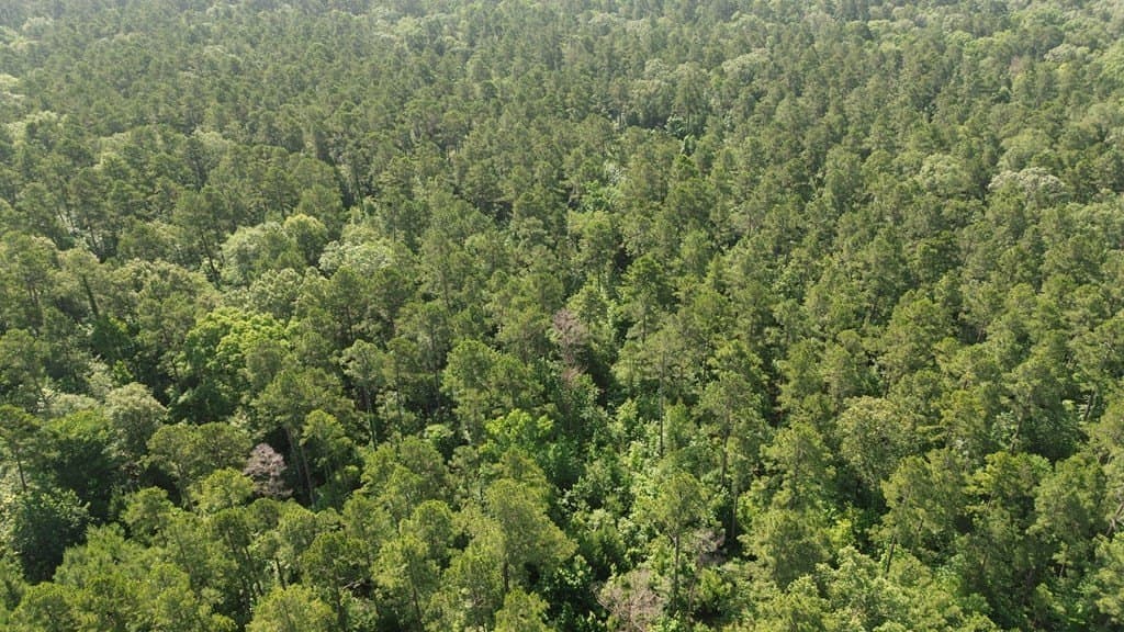 117.6 acres in Texas County - photo 18