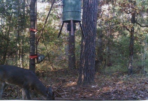 117.6 acres in Texas County - photo 25