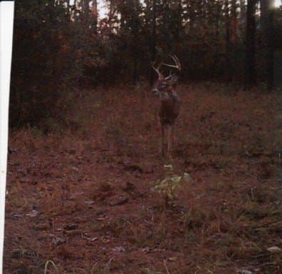 117.6 acres in Texas County - photo 26
