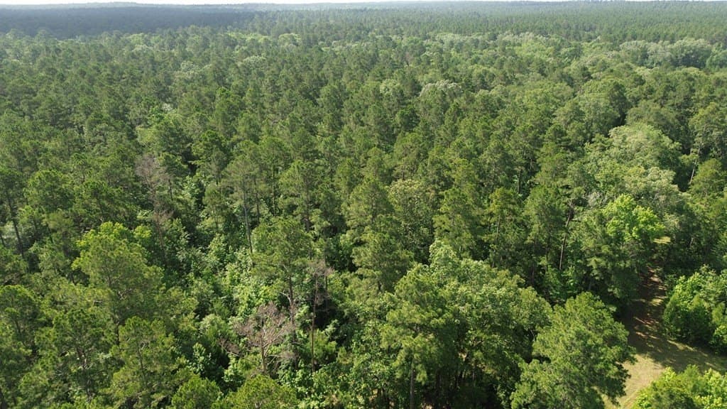 117.6 acres in Texas County - photo 22