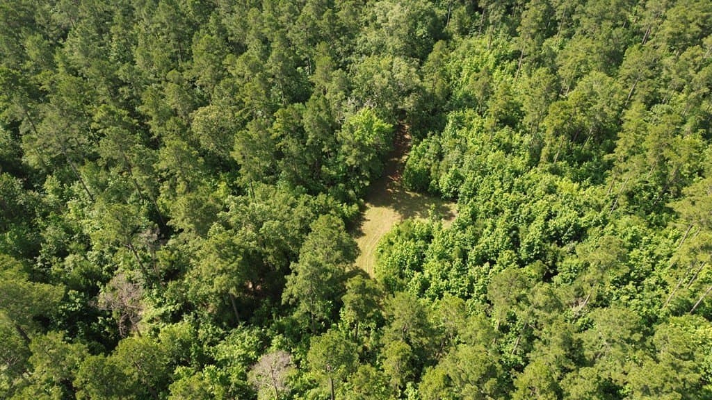 117.6 acres in Texas County - photo 17