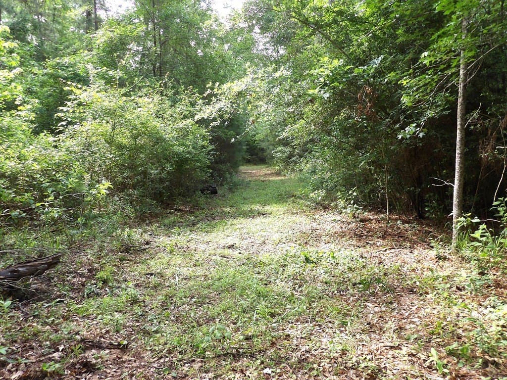 117.6 acres in Texas County gallery image 4
