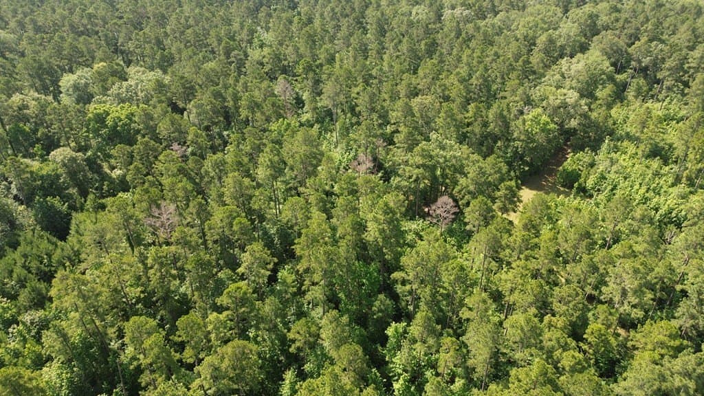 117.6 acres in Texas County - photo 15