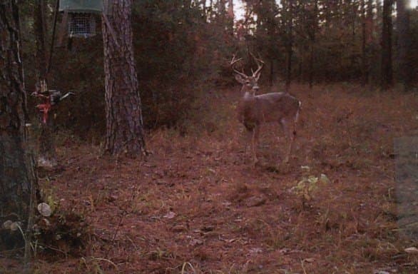 117.6 acres in Texas County - photo 27