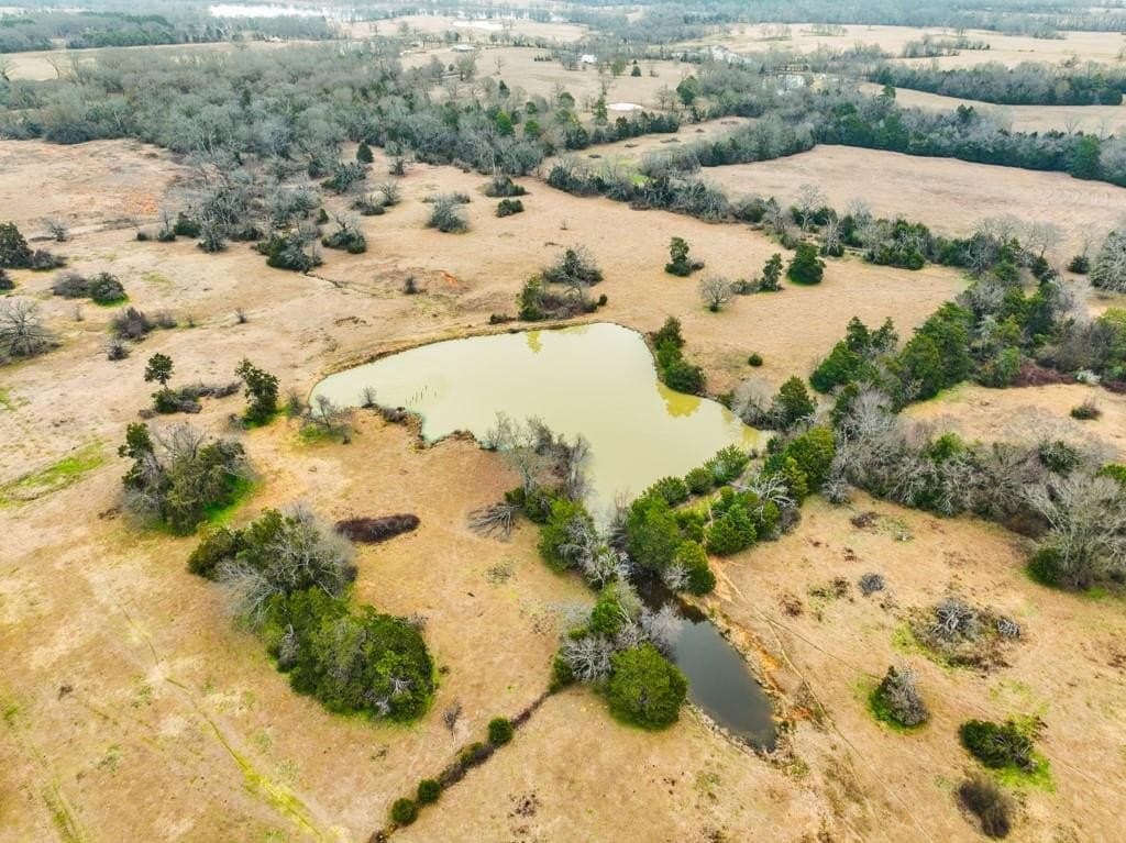 67.26 acres in Van Zandt County gallery image 3