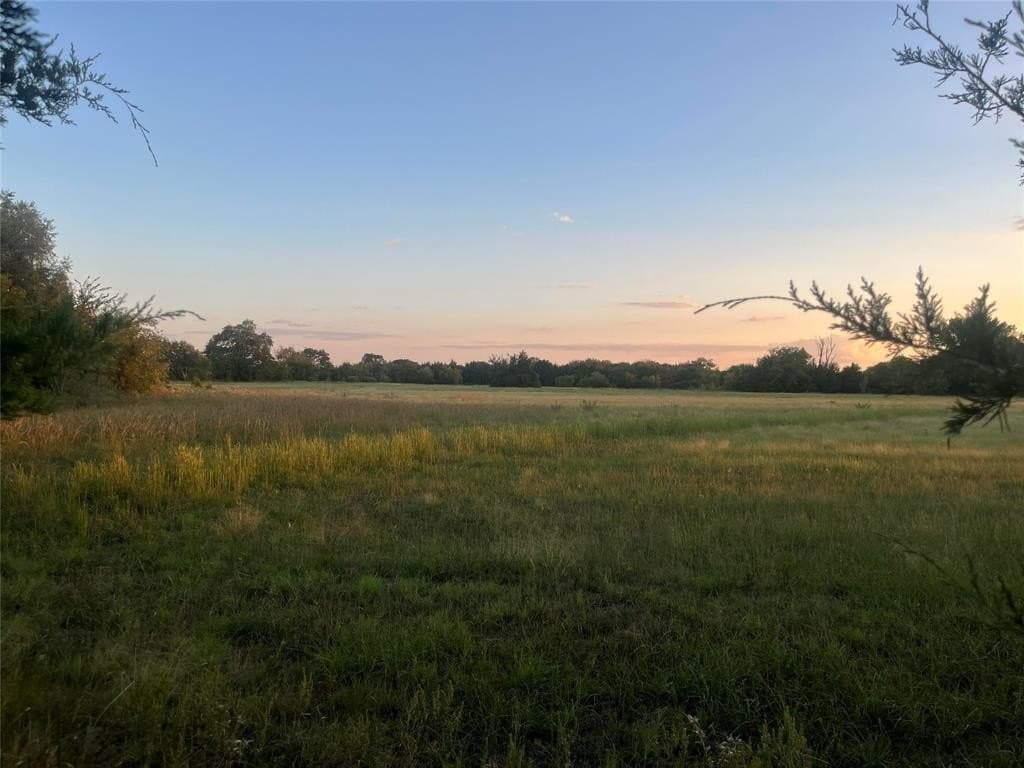 8.11 acres in Fannin County gallery image 4