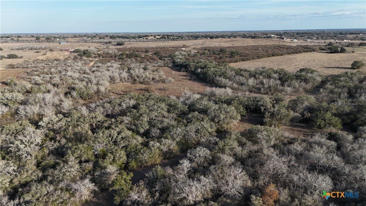 19.09 acres in DeWitt County featured view