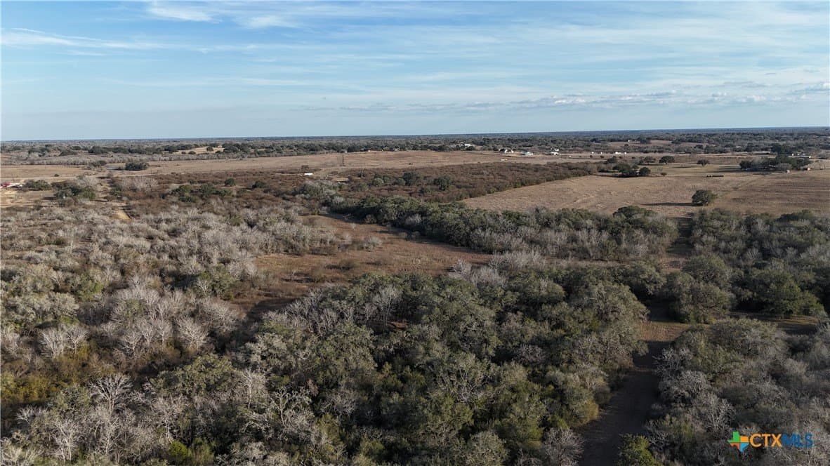 19.09 acres in DeWitt County gallery image 3