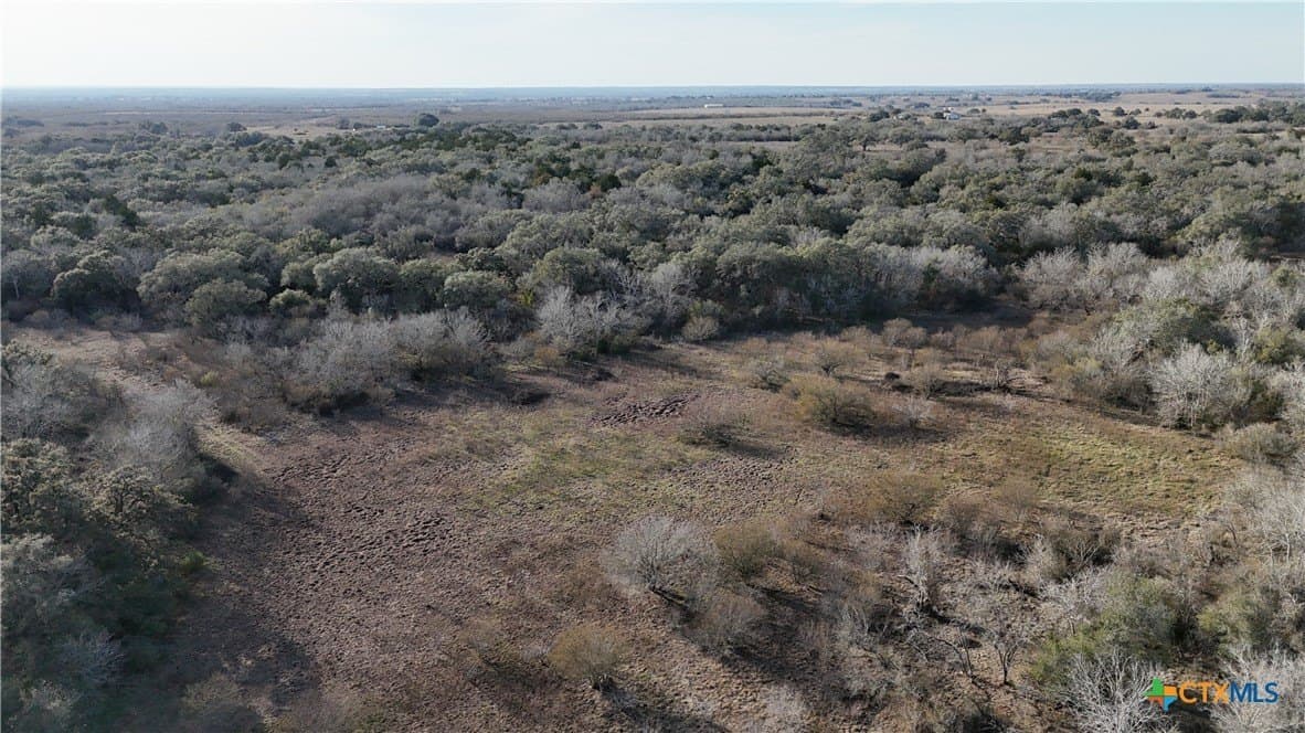 19.09 acres in DeWitt County gallery image 4