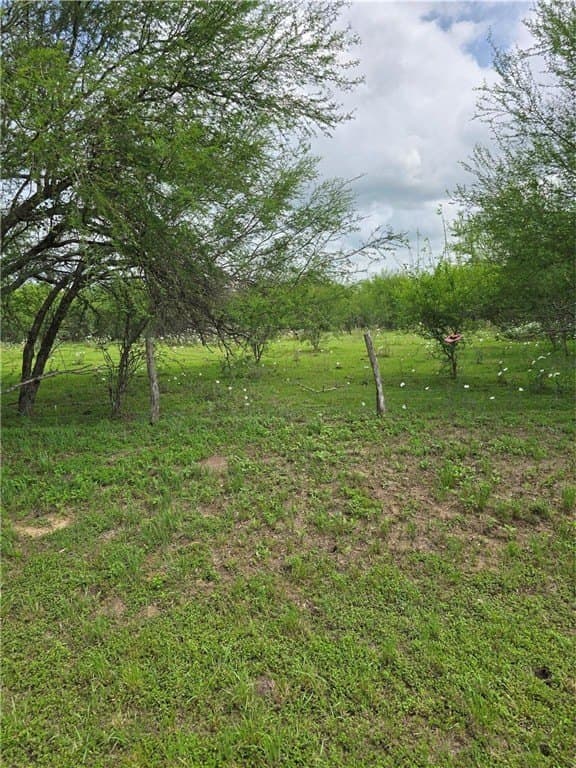 8 acres in AUSTIN County - photo 2