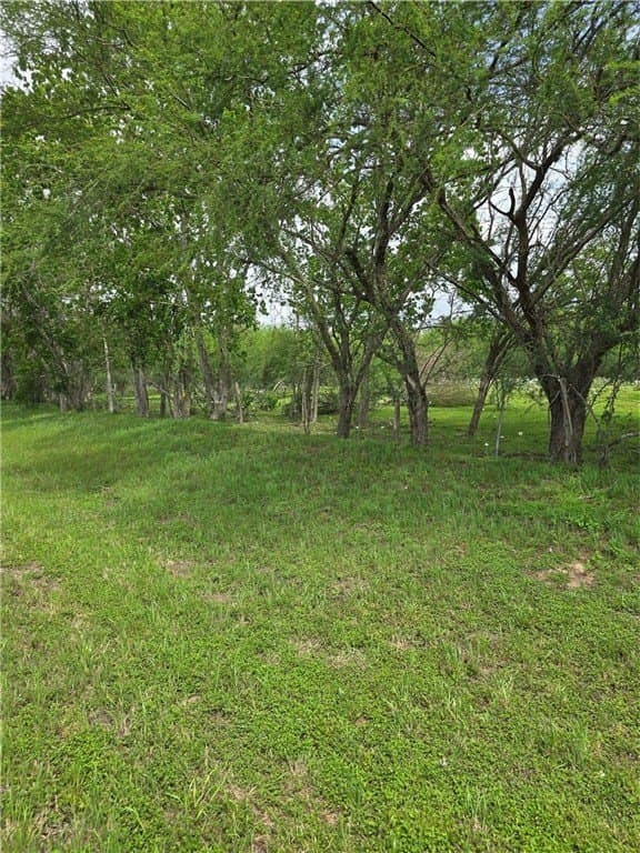 8 acres in AUSTIN County - photo 5