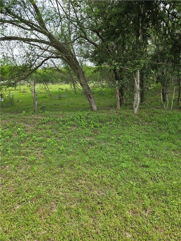 8 acres in AUSTIN County - photo 3