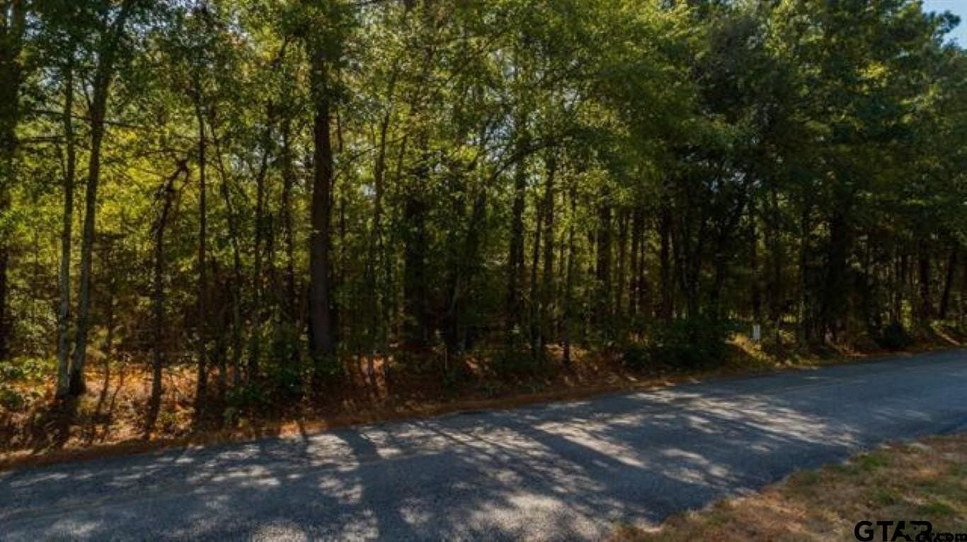 25 acres in Smith County - photo 7