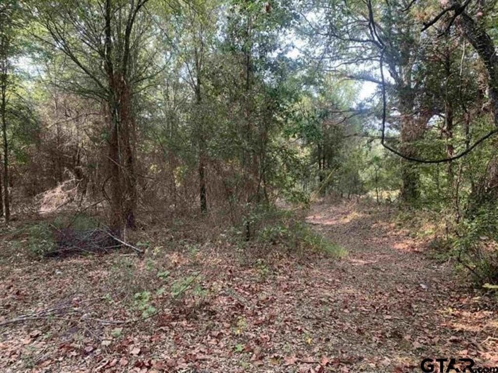 25 acres in Smith County - photo 5