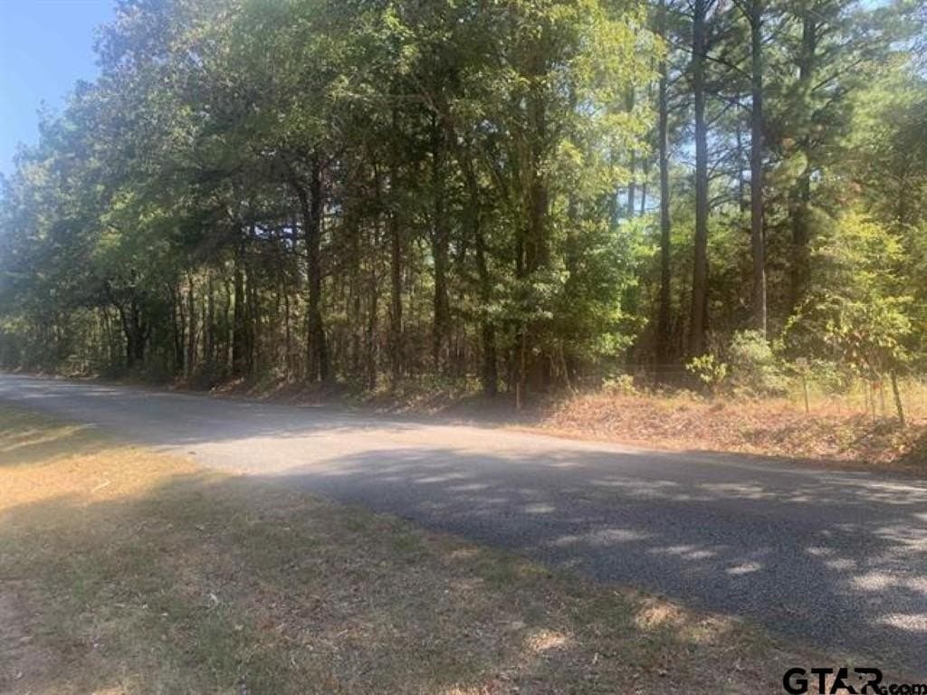 25 acres in Smith County - photo 10