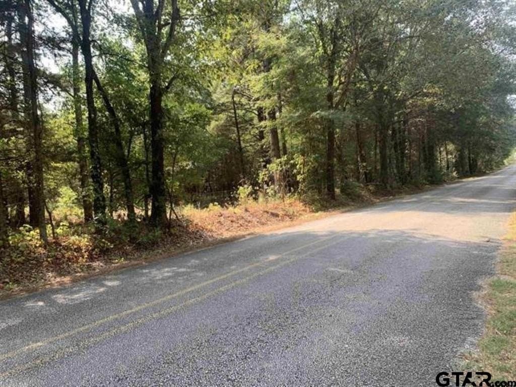 25 acres in Smith County - photo 8