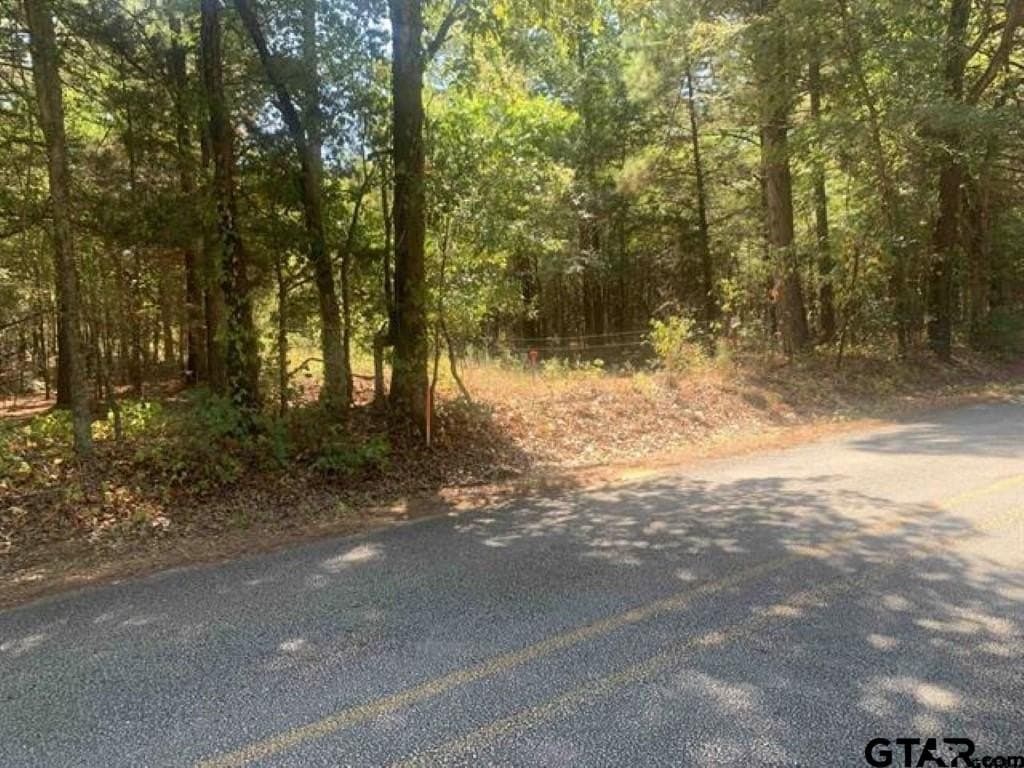 25 acres in Smith County - photo 6