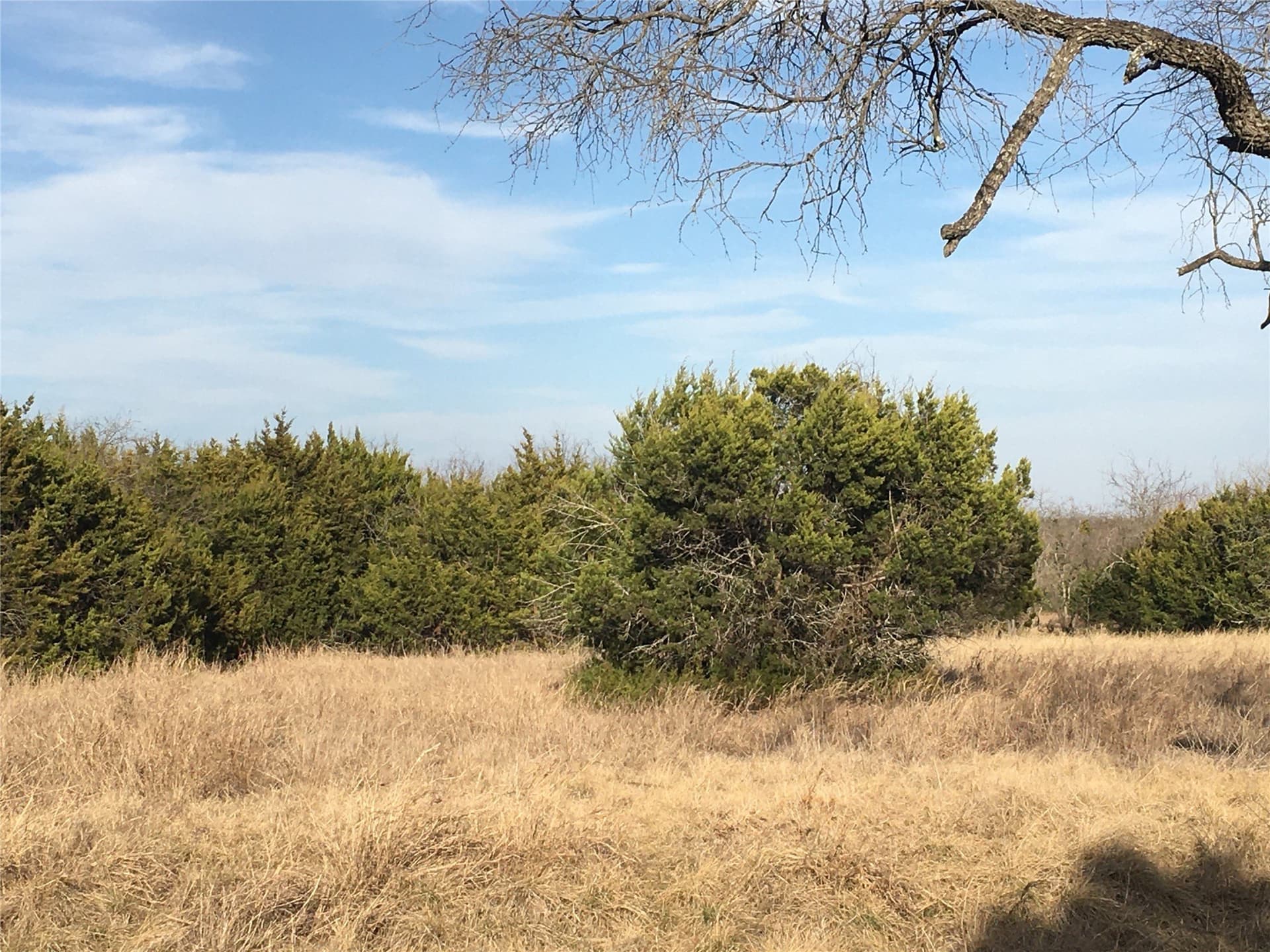 1.43 acres in Hill County - photo 8