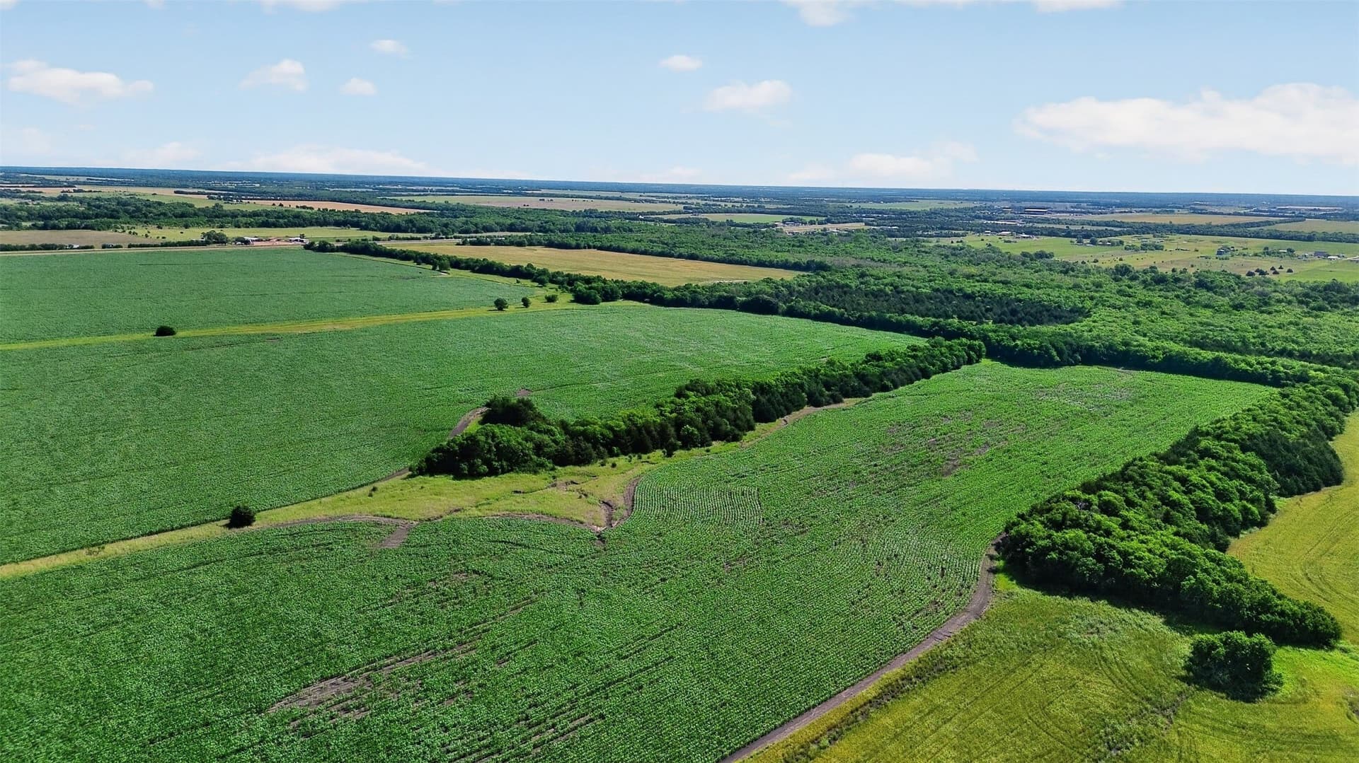 281.55 acres in Hunt County - photo 13