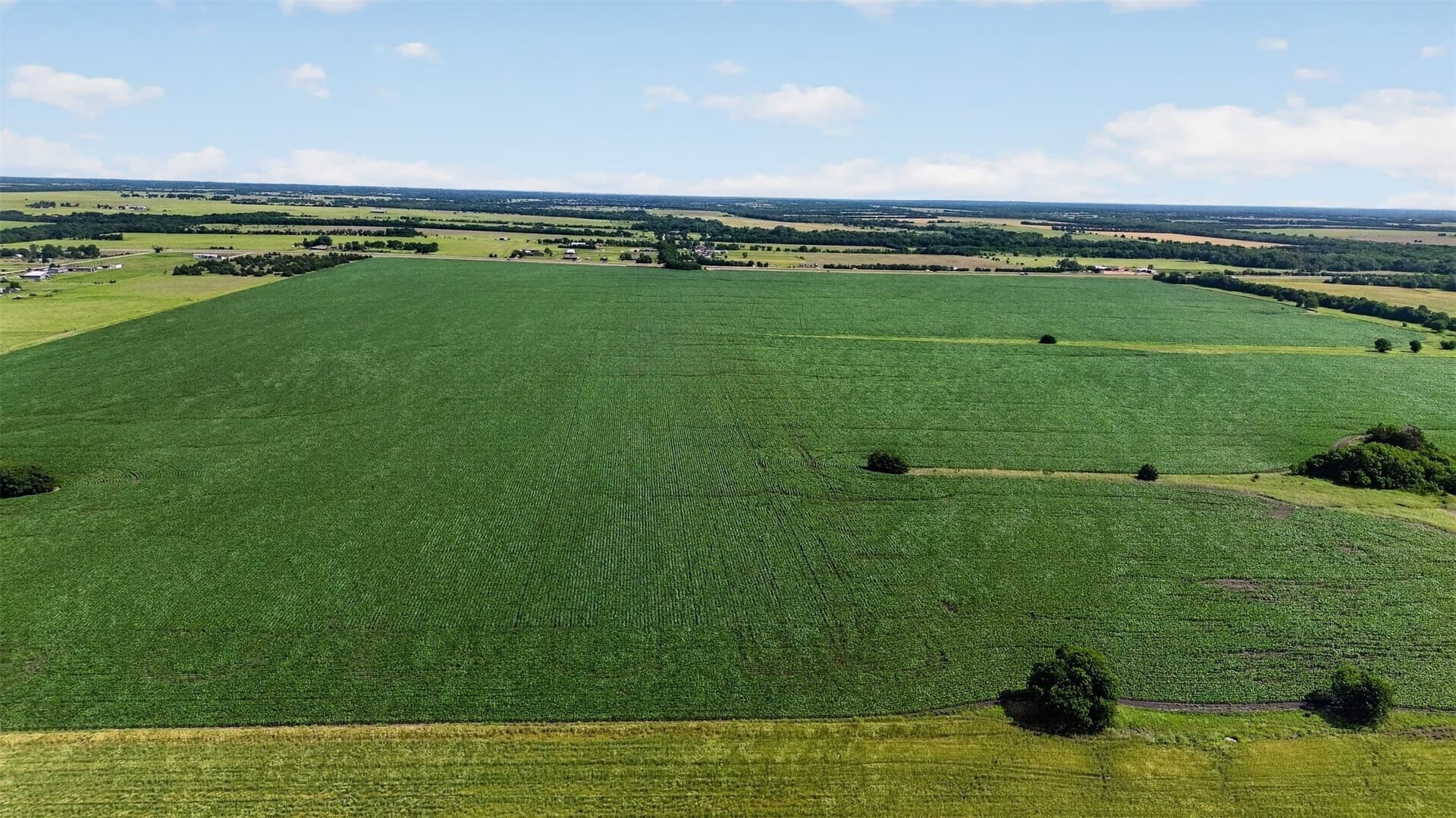 281.55 acres in Hunt County - photo 12