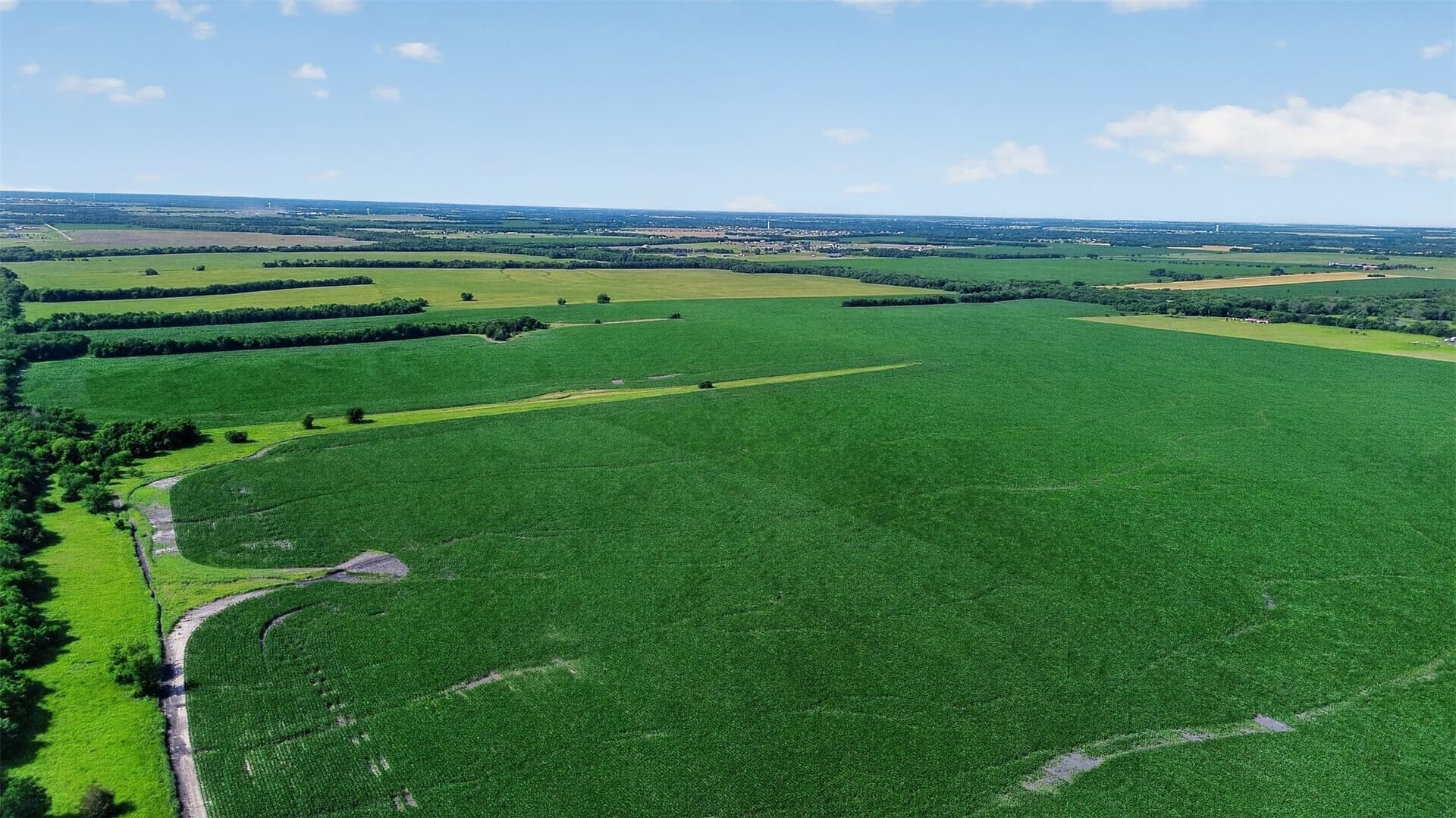 281.55 acres in Hunt County - photo 7