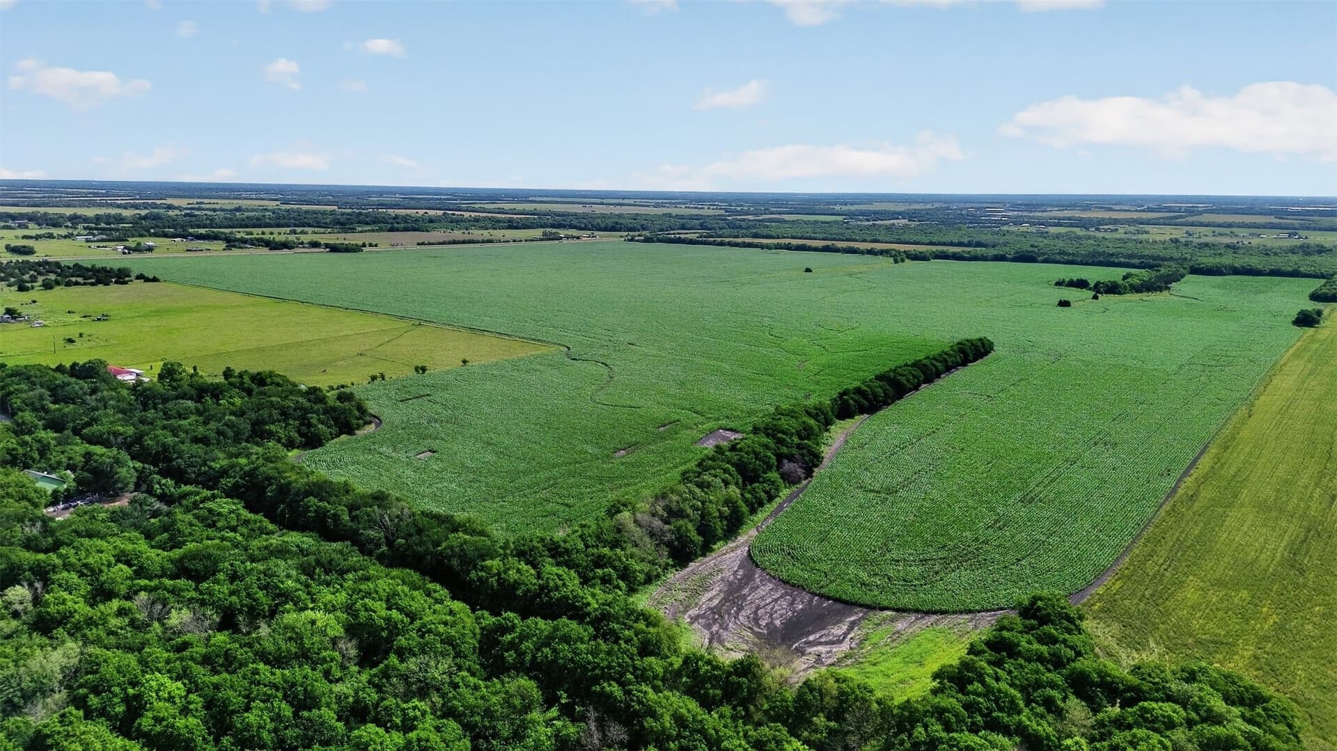 281.55 acres in Hunt County - photo 11