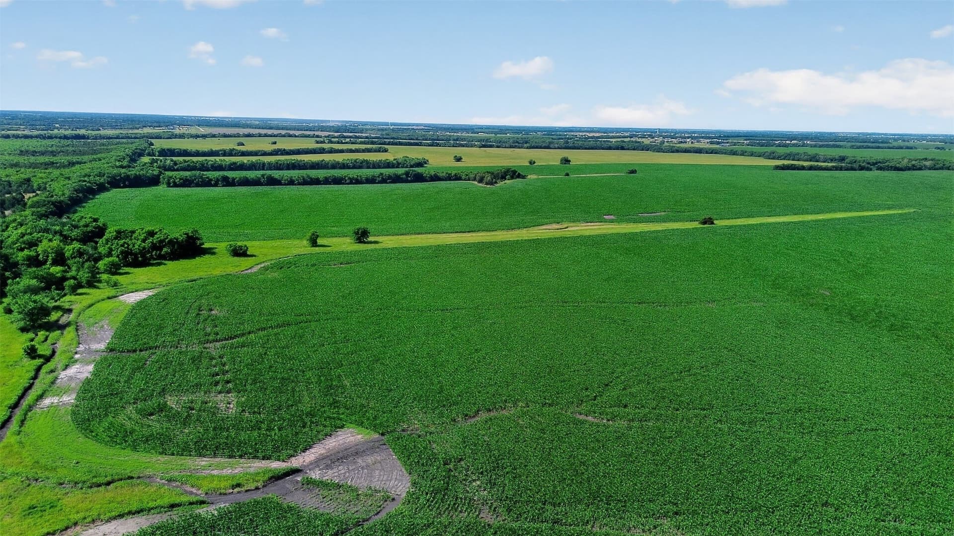 281.55 acres in Hunt County - photo 9