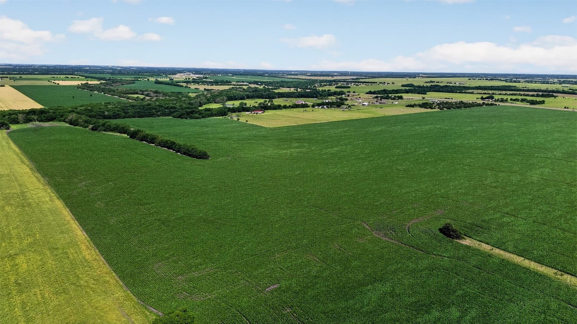 281.55 acres in Hunt County - photo 14