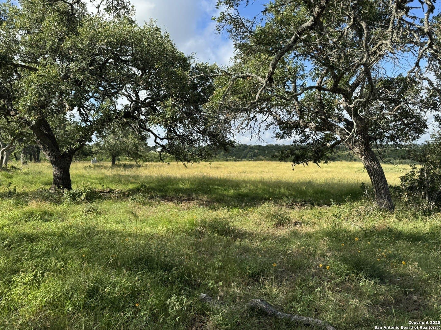 12.77 acres in Blanco County - photo 23