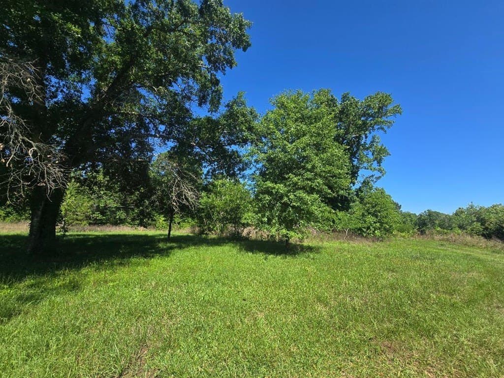 1 acres in Texas County gallery image 2