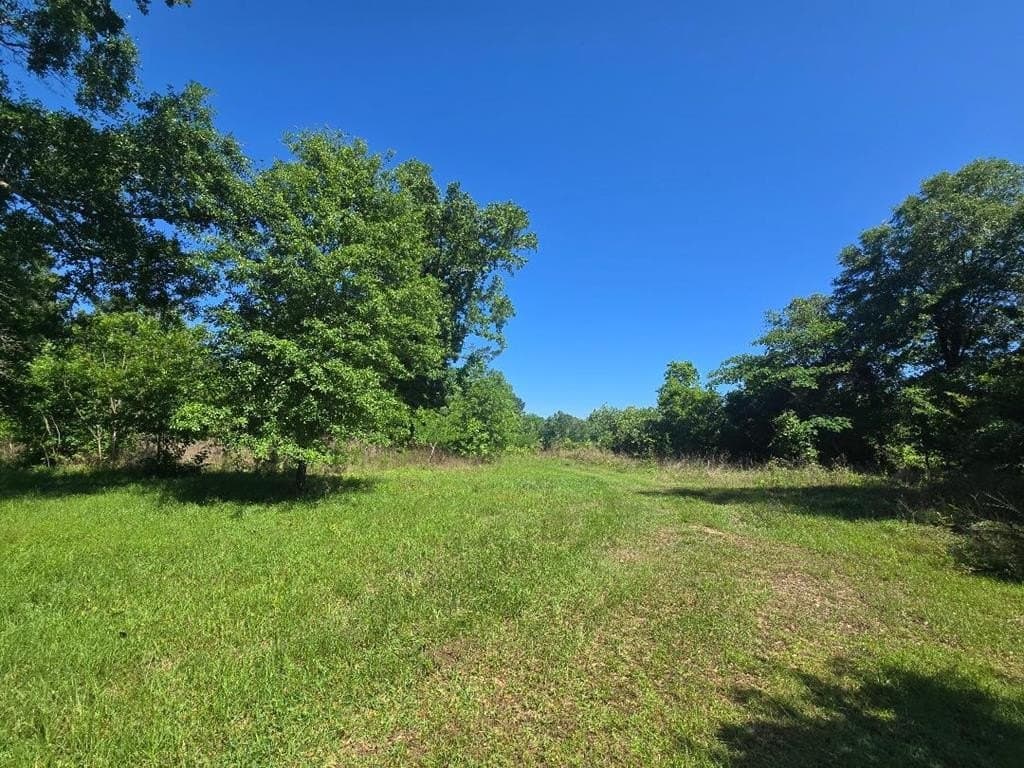1 acres in Texas County