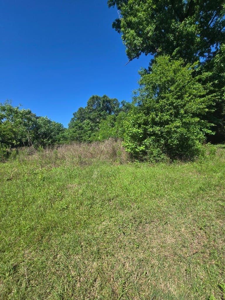 1 acres in Texas County gallery image 4